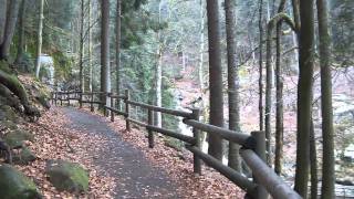 Triberg  Deutschlands höchste Wasserfälle im Schwarzwald [upl. by Mic464]