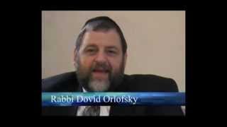 Rabbi Dovid Orlofsky Expert on Jewish Education and Outreach on Torah Live [upl. by Benzel292]