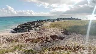 A Walk Along The Drill Hall Beach In Barbados🏖🇧🇧 [upl. by Adnana]