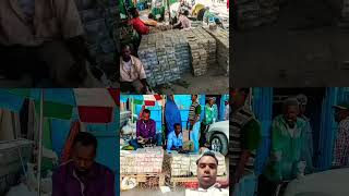 dollar africa money somaliland business currency factshort amazingfactsinhindi funny ytsh [upl. by Adnohryt930]