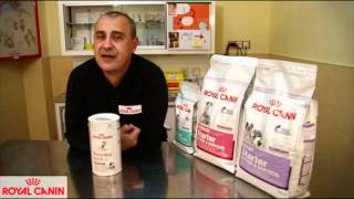 Cómo alimentar al cachorro los primeros días  Nutrición canina Royal Canin [upl. by Lamaaj]