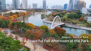 DRONE ADVENTURE Fall Day In Songdo [upl. by Nibuz751]