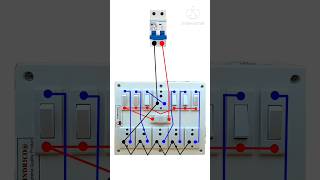 6 Socket 1 Fuse 6 Switch Wiring shortsshortsfeedwiringtecnicelectricalinstallationelectrician [upl. by Acinelav]