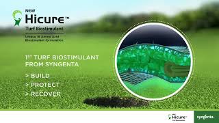 Introducing Hicure™ Turf Biostimulant from Syngenta Professional Solutions [upl. by Idonna]