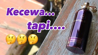 Montale Intense Cafe  GIVEAWAY Open  Indonesia Parfum Review [upl. by Ennaylime]