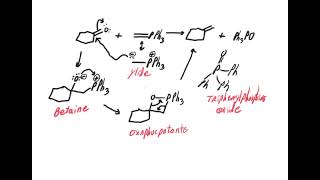 Wittig reaction mechanism [upl. by Dorey884]