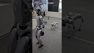 Quadruped robot jumping and walking at Robotworld in South Korea Oct 2024 unitreerobotics [upl. by Sparks]