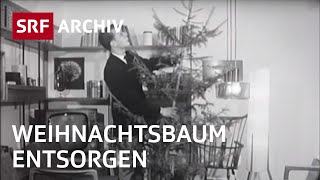 Wohin mit dem Weihnachtsbaum 1964  Entsorgung von Weihnachtsbaum  SRF Archiv [upl. by Fisa548]