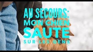 Au secours mon chien saute sur les gens [upl. by Stephen]