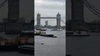 London  Tower Bridge london towerbridge [upl. by Maximo273]