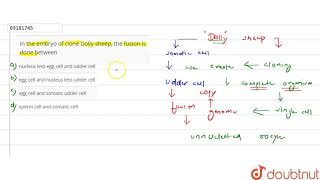 In the embryo of cloning Dolly sheep the fusion is done between [upl. by Sloan848]