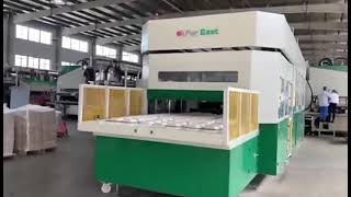 Far East Fully Automatic Pulp Molding Sugarcane Bagasse Biodegradable Tableware Machine LD12 Series [upl. by Cirone]