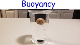 Physics  Intro to Buoyancy [upl. by Hoashis]