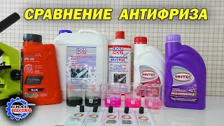 Антифриз Sintec Multifreeze G 12  Coolstream JPN  Liqui Moly KFS 11 KFS 12 plus  Сравнение [upl. by Rianon]