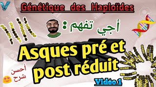 vidéo 1 génétique des haploides en arabe svi s4 [upl. by Airdnahc744]