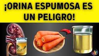 TOP 5 ALIMENTOS Y HÁBITOS PARA AYUDAR A LA RECUPERACIÓN RENAL DE LA PROTEINURIA  Saludable y Feliz [upl. by Etnad607]