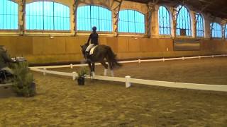 Rehus Hit Grand Champ amp Camille Judet Cheret  1ere Inter A FEI A4 [upl. by Den2]