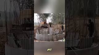 Workers Cheer During Well Construction as Concrete Sinksshortsfeed shortsviral shortsyoutube [upl. by Derick]