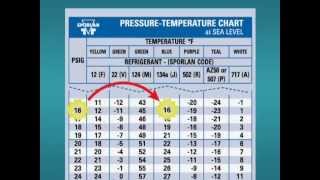 How to Use a PT Chart [upl. by Saint885]