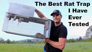 The Best Rat Trap I Have Ever Tested The Uhlik Repeater Trap Mousetrap Monday [upl. by Pas227]