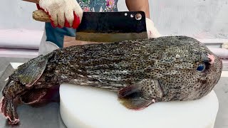 porcupine puffer fish 7kg  vn chef [upl. by Charissa]