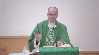 quotThe wedding feast of the Lambquot  Homily  Thursday November 28 2024  by Fr Steven [upl. by Tarsus]