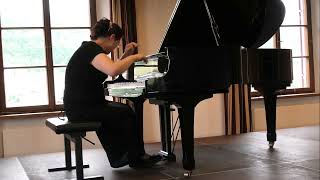 F  Liszt Un Sospiro 한숨  탄식 Etude de Concert No 3 in D flat Major [upl. by Hutton]