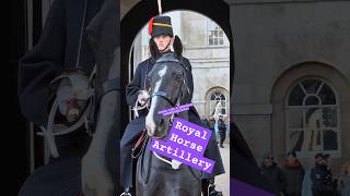 ROYAL HORSE ARTILLERY shorts youtubeshorts kingsguard relaxing satisfying chilling trending [upl. by Anitsirhcairam]