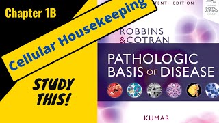 Robbins and Cotran Pathologic Basis of Disease Chapter 1B  Cellular Housekeeping StudyThis [upl. by Warms262]