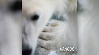 Nanook  Salliutitani HQ Audio [upl. by Ainot]