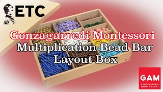 Gonzagarredi Multiplication Bead Bar Layout Box [upl. by Emmit646]