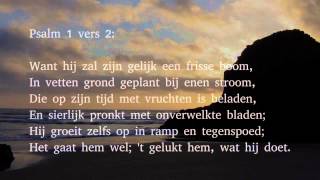 Psalm 1 vers 1 2 en 4  Welzalig hij die in der bozen raad [upl. by Nitsoj280]