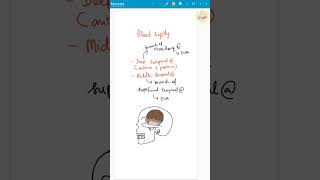 TEMPORALIS  Muscles of mastication  5mindentistry shorts [upl. by Winny]