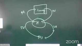 Breathing and Exchange of Gases L07  30012024  Amar Shinde Sir  Biology 11th B3  VSA [upl. by Aiym]