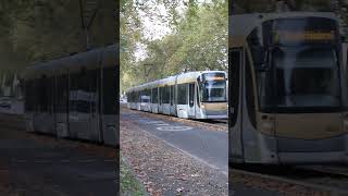 STIB Bombardier flexity Outlook T4000 sur le Boulevard Lambermont [upl. by Naima]