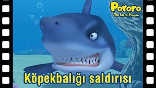 Köpekbalığı şaldırışı  Kısa film animasyon  Pororo türkçe  Pororo turkish [upl. by Helaine]