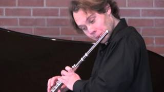 Franz Schubert – Am Meer Flute and Piano [upl. by Darcy]