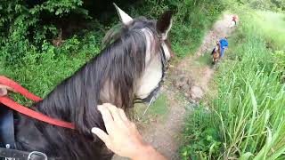 Cabalgando en Villalba PR con Hacienda La Tardanza elcaballoyelcaballista [upl. by Nylissej]