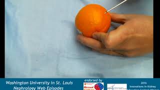 Web Episode 025b  Kidney Biopsy Handson Demonstration [upl. by Gnidleif986]