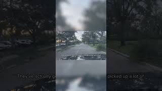 Watch Derik drive through storm damage today [upl. by Esdras]