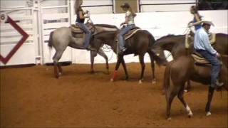 Reichert Celebration AQHA Horse Abuse [upl. by Oalsecnew]