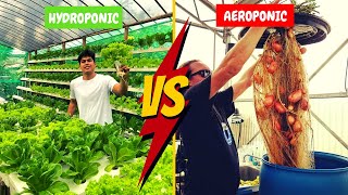 Hydroponics VS Aeroponics Which One is BEST  Hydroponics And Aeroponics Differences Pros amp Cons [upl. by Nnaylrebmik726]