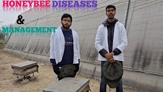 Diseases of Honeybee amp their management  ENT401  School of Agriculture  LPU [upl. by Robbie]