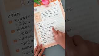 Primary school Chinese sentence intensive training 10 minutes a day to consolidate the basic ski [upl. by Traci]