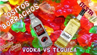 Ositos borrachos PANDITAS tequila ft vodka  shot con tequila [upl. by Erapsag]