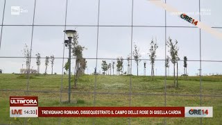 Trevignano Romano dissequestrato il campo delle rose di Gisella Cardia  Ore 14 del 30042024 [upl. by Svoboda]