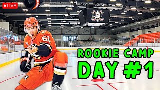 Cutter Gauthier amp More Anaheim Ducks prospects LIVE from 2024 Rookie Camp  Day 1 [upl. by Antipas]