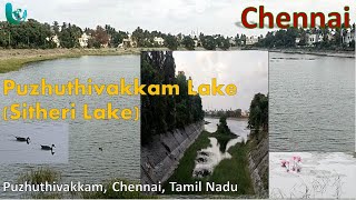 Puzhuthivakkam Lake Sitheri Lake Near Madipakkam Chennai Tamil Nadu uonearth joseanand vlog [upl. by Barayon145]