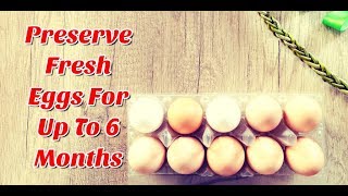 How To Store Eggs For Long Time  Long Term Egg Storage [upl. by Bohrer]