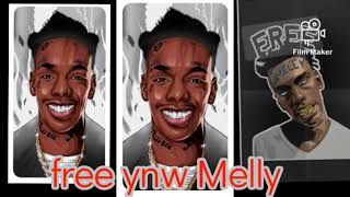 freestyle type beat  FREE YNW MELLY [upl. by Adnov]